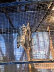 -酷嗒动物文化乐园(cutezoo西溪乐天城店)