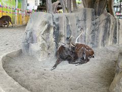 -海合安成都极地海洋公园