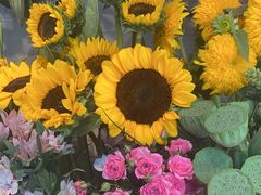 -爱尚幸福鲜花(上地实体店)