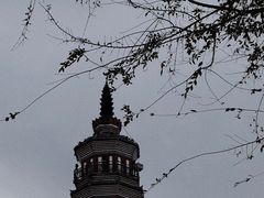 -顺峰山公园