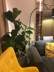 -唯奈斯肌肤管理中心
