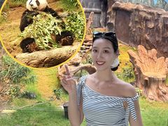 -香港海洋公园