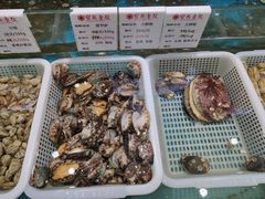 -宝燕壹号(徐汇店)