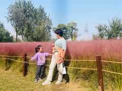 -汉长安城未央宫国家考古遗址公园