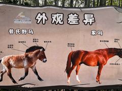 -杭州野生动物世界