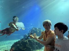 -涛·海底餐厅·美人鱼·自助餐·海底隧道(三亚海棠湾洲际度假酒店)
