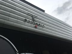 -DFS旗下T广场(新加坡店)