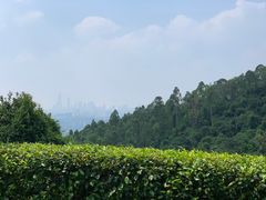 -火炉山森林公园