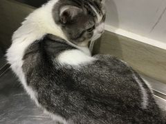 -暖阳宠物医院·犬猫康复中心·骨科