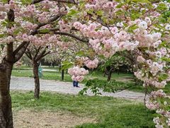 -莲花池公园