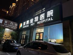 -瑞鹏宠物医院·内科·中兽医·骨科(苗圃店)