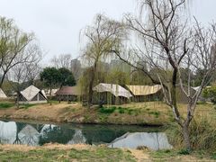 -贡湖湾湿地公园