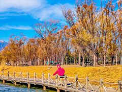 -野鸭湖国家湿地公园