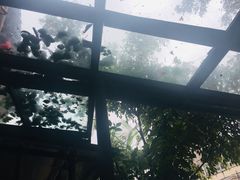 -相约小筑缅泰文化餐厅(临沧·强力广场店)