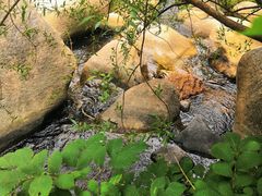 -碓臼峪自然风景区