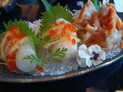 -曙亚洲餐厅-重庆富力艾美酒店(南坪万达广场店)