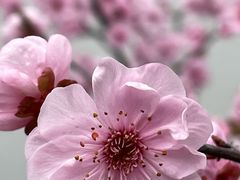 -苏州大学附属第二医院(三香院区)