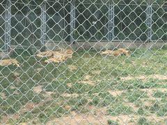 -西安秦岭野生动物园