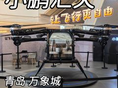-青岛万象城