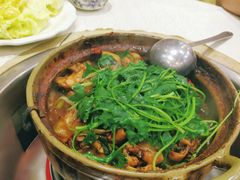 -渝君重庆火锅(嘉宾路店)