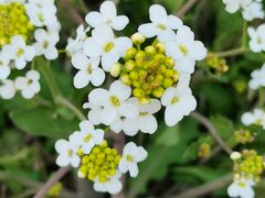 -天津东丽湖风景区