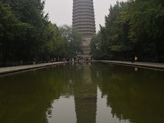 -玲珑塔公园
