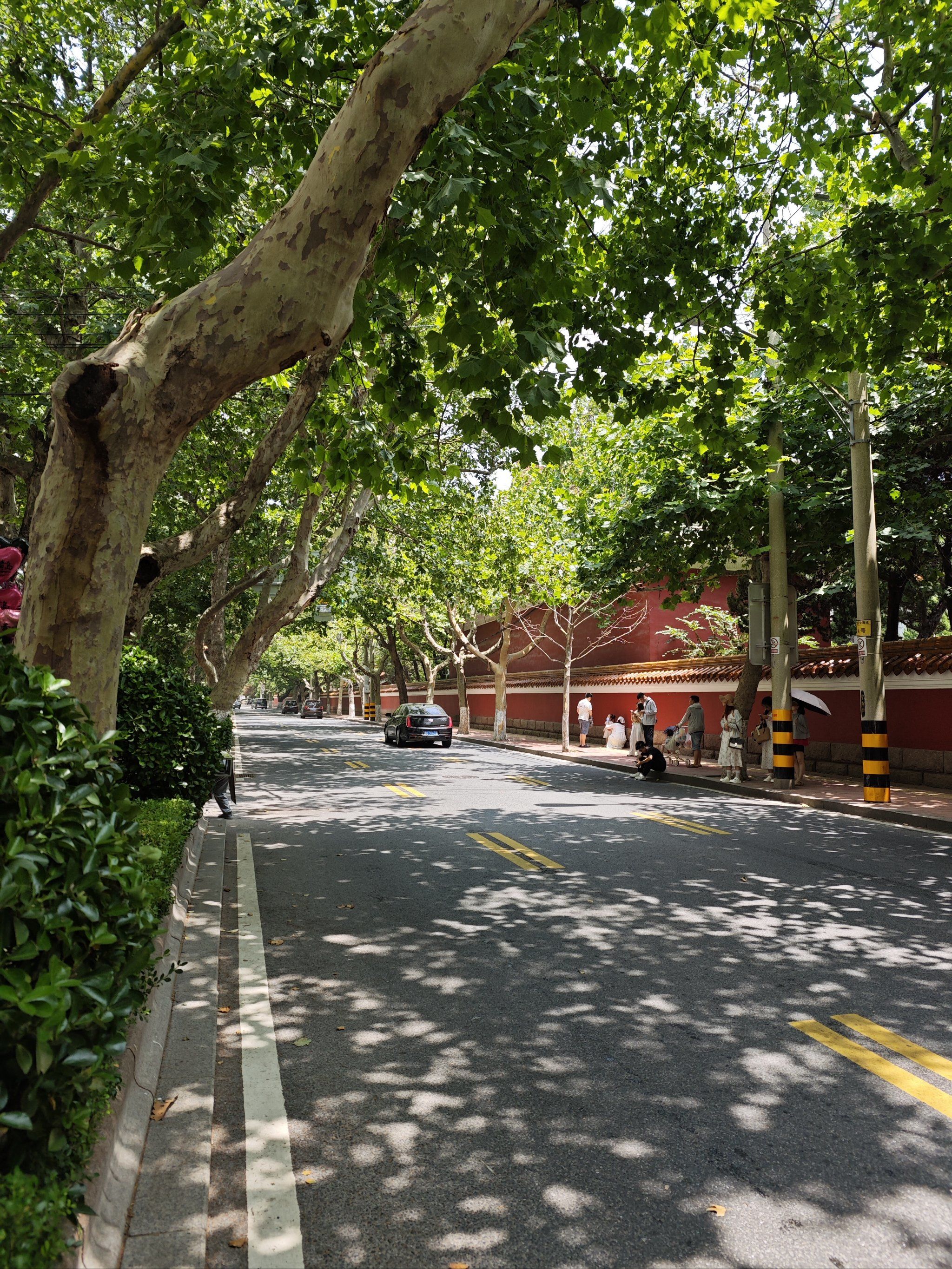 大学路网红墙,真的就是一面红墙