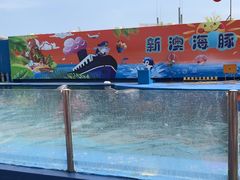 -秦皇岛新澳海底世界