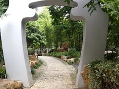 -荆川公园