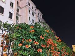 -鲁邦国际风情街(麦世达韩国精品百货店)