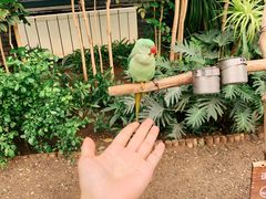 -南宫五洲植物乐园