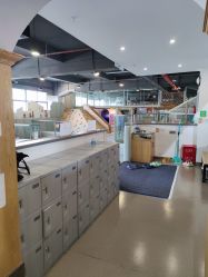 -LePark乐派亲子餐厅(33小镇店)