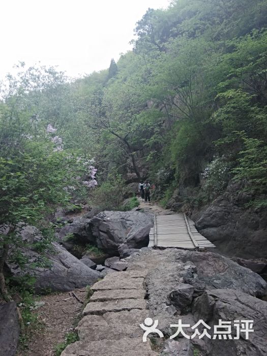 云岫谷游猎风景区景点图片 - 第7张