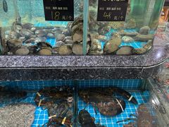 -渔码头食府(蓬莱阁店)