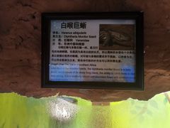 -上海大自然野生昆虫馆