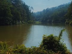 -番禺大夫山森林公园