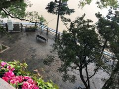 -江心屿景区