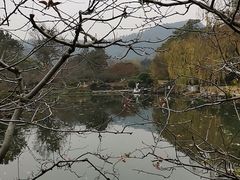 -西湖外事游船(花港观鱼码头)