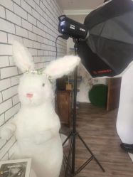 -韩孕社专业孕妇摄影(和平店)