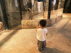 -酷嗒动物文化乐园(cutezoo西溪乐天城店)