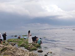-刘公岛景区