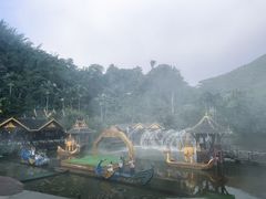 -西双版纳原始森林公园
