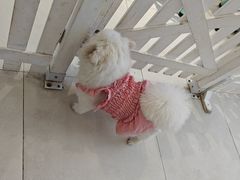 -怪兽屋·羊驼·猫咖·狗咖(俊华广场店)