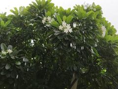 -维乐口腔医院(星海湾分院)