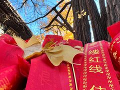 -红螺寺
