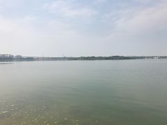 -丁香湖公园