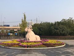 -永定河休闲森林公园