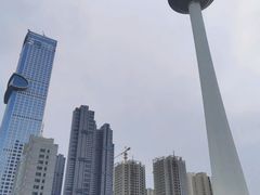 -辽宁电视塔
