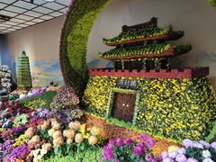 -杭州植物园