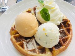 双球冰淇淋配华夫饼-莓园冰淇淋店